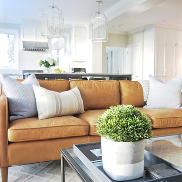 Transitional Home Extension