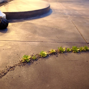 Midcentury Modern Minimalist Landscape Design