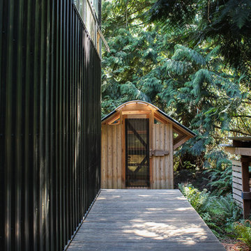 An Island Cabin in the Woods