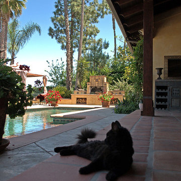 Casa De Las Palomas Blancas