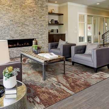 Modern Desert Living