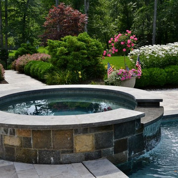 Backyard Swimming Pool Oasis
