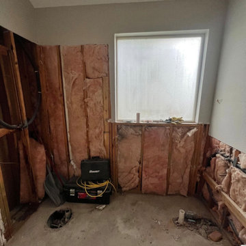 Bathroom Remodel | The Luxe Shower Project (Before)
