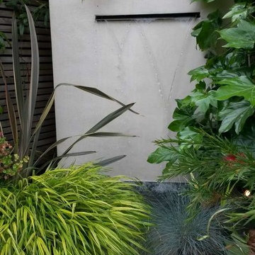 Contemporary courtyard triangular shaped garden