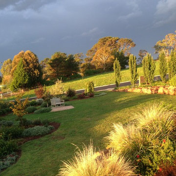 Moss Garden
