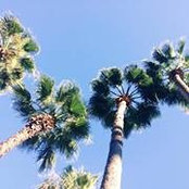 Melike Çetinsaraç's photo