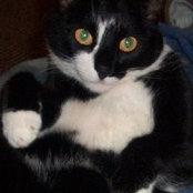 Foto von Wilma Baty