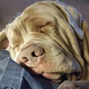 Foto von Kathy Milliron
