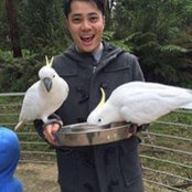 Shaun Leow's photo