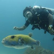 Reza Mohd's photo