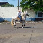 José Trejo Castañeda's photo