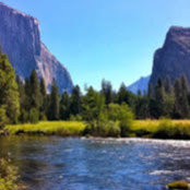 Kathy DeGiulio's photo