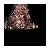 Kathy Boykin's photo