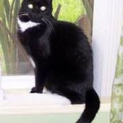 Paige McCalmon's photo