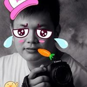Steve Lais billede