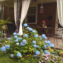 porch ideas