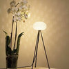 F.O.C - Freedom of creation 610 Table Lamp