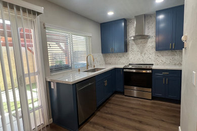 Example of a minimalist kitchen design in San Diego