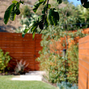 Drought Tolerant Landscape in Eagle Rock, CA