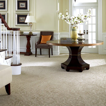 Tuftex Anso® Carpet