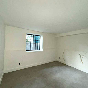 BASEMENT REMODEL - IN PROGRESS - EASTERLIN‘S RESIDENCE