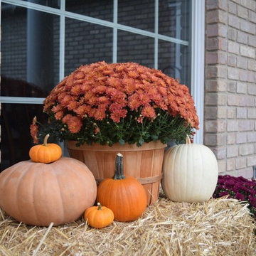 Fall Front Porch