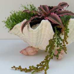 Rustic-Charm Mississauga - Products