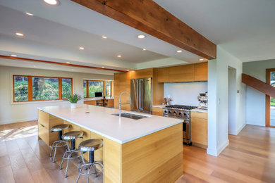 Inspiration for a kitchen remodel in Seattle