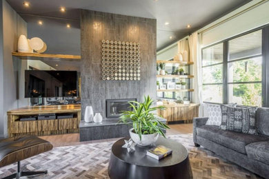 Example of a minimalist living room design in Toronto