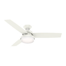 Ceiling fans