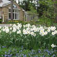 Outside Landscaping
