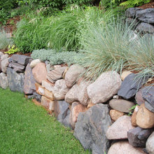 Hillside plantings
