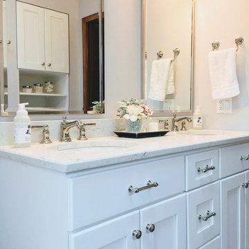 Traditional Contemporary Bathroom in Elmhurst, IL