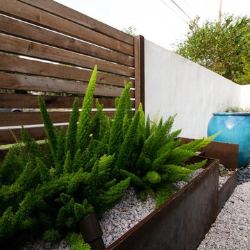 Rosedale Modern Courtyard