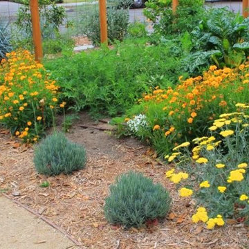 Edible Landscape and xeriscape
