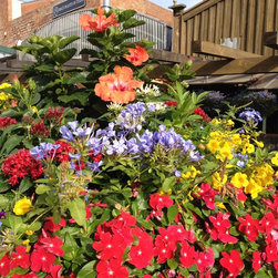 Nursery beds - Products