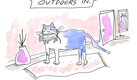 Clever Kitty: 7 Ways Cats Help You Decorate