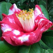 Jacqueline Lloyd's photo