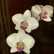 Karin J. Claveria's photo