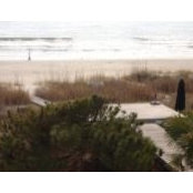Barbara Shockey's photo
