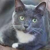 Lyn Roberson's photo