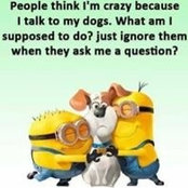 Attallah Griffin's photo