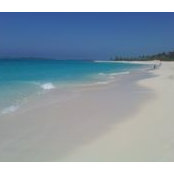 Edward Hertenstein's photo