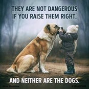 Leanne Vosberg's photo