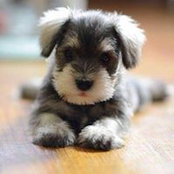 Becky Vanderwerf's photo