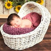 Nechamie Silberberg's photo