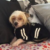 Melissa Rivera's photo