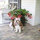 Debra Brown