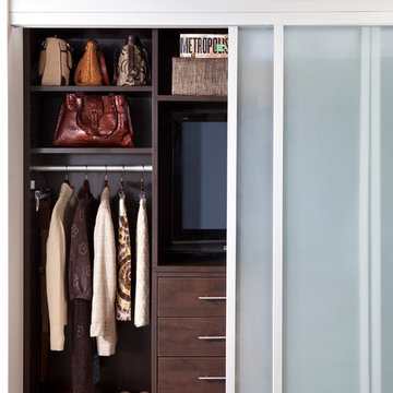 Combination Reach-In Closet and Entertainment Center
