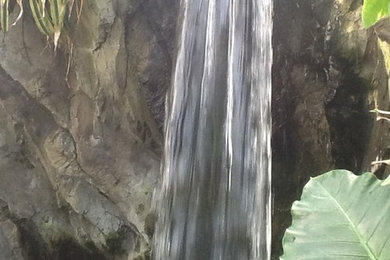 Photo of a tropical landscaping in Oklahoma City.